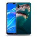 Дизайнерский пластиковый чехол для Huawei Y6 (2019) Акулы