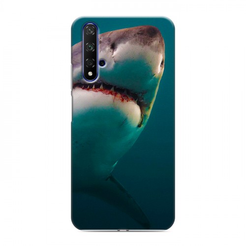 Дизайнерский силиконовый чехол для Huawei Honor 20 Акулы