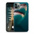 Дизайнерский пластиковый чехол для Iphone 11 Pro Акулы