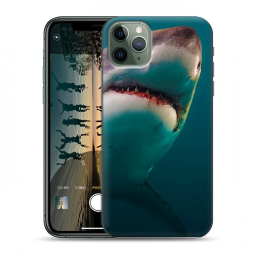 Дизайнерский пластиковый чехол для Iphone 11 Pro Акулы