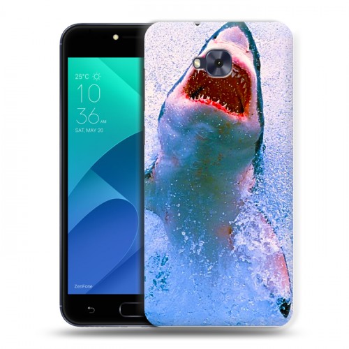 Дизайнерский пластиковый чехол для ASUS ZenFone 4 Selfie Акулы