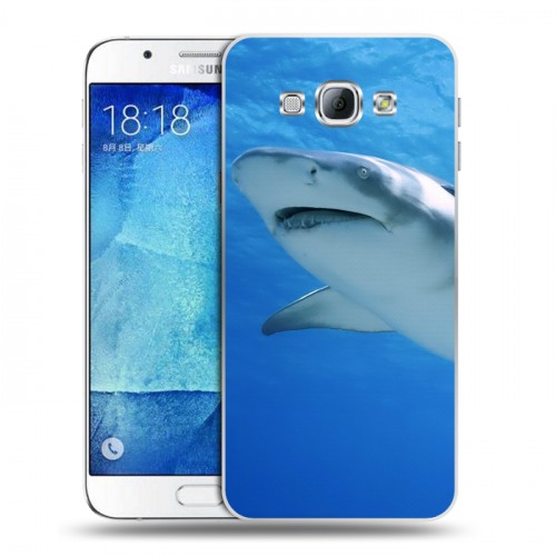 Дизайнерский пластиковый чехол для Samsung Galaxy A8 Акулы