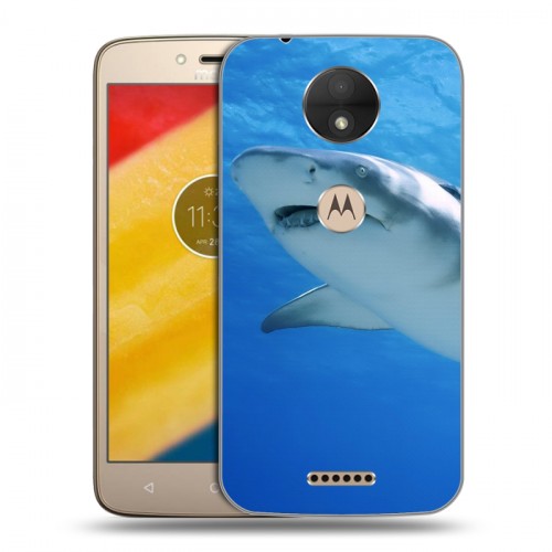 Дизайнерский пластиковый чехол для Motorola Moto C Акулы