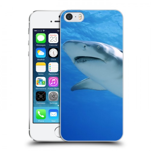Дизайнерский пластиковый чехол для Iphone 5s Акулы