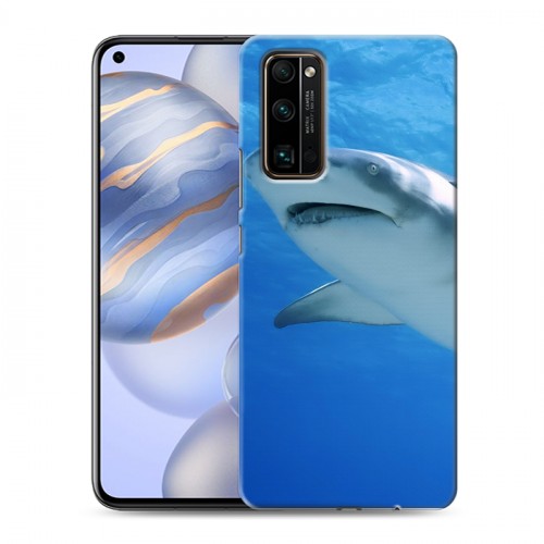 Дизайнерский пластиковый чехол для Huawei Honor 30 Акулы