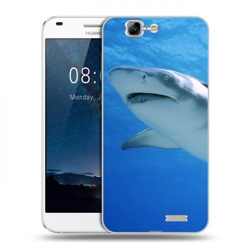 Дизайнерский пластиковый чехол для Huawei Ascend G7 Акулы