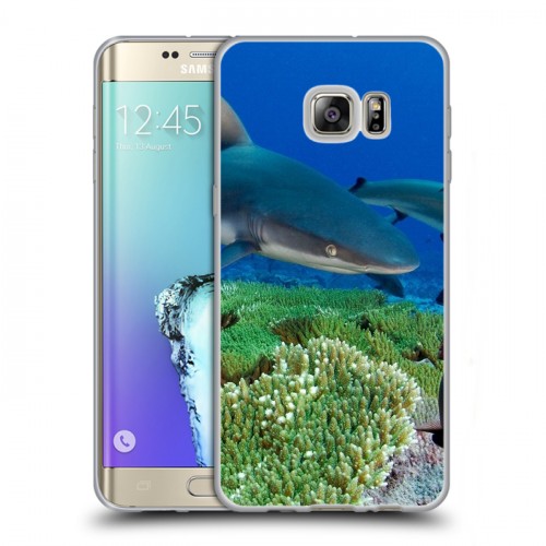 Дизайнерский пластиковый чехол для Samsung Galaxy S6 Edge Plus Акулы