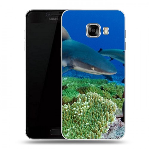 Дизайнерский пластиковый чехол для Samsung Galaxy C5 Акулы