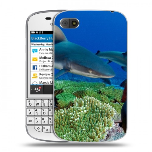 Дизайнерский пластиковый чехол для BlackBerry Q10 Акулы