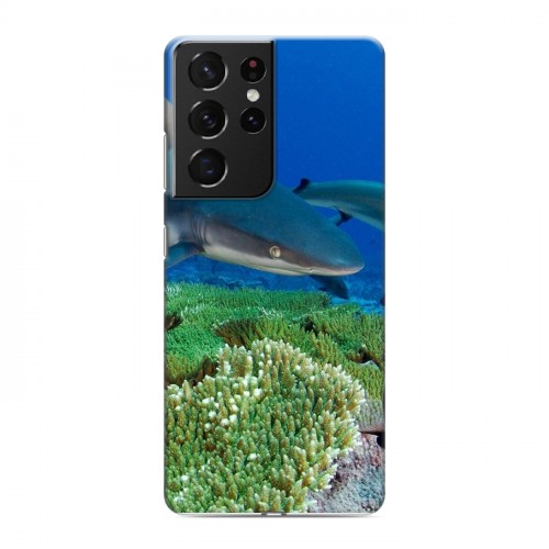 Дизайнерский пластиковый чехол для Samsung Galaxy S21 Ultra Акулы
