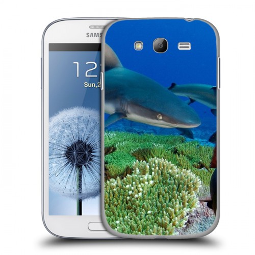 Дизайнерский пластиковый чехол для Samsung Galaxy Grand Акулы