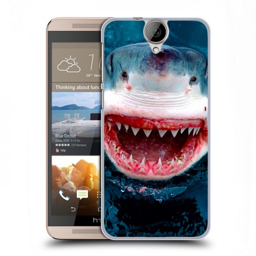 Дизайнерский пластиковый чехол для HTC One E9+ Акулы