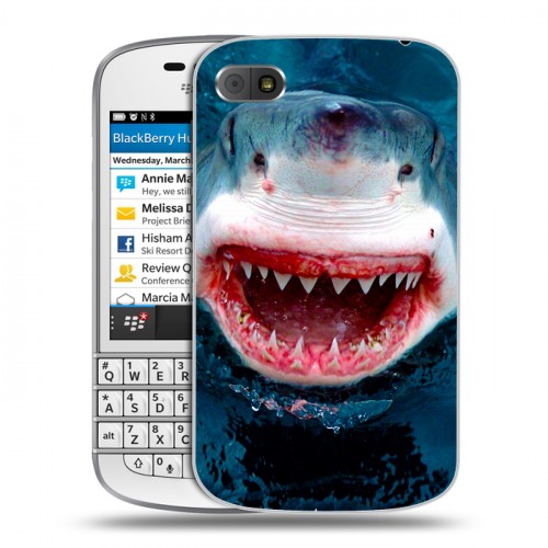 Дизайнерский пластиковый чехол для BlackBerry Q10 Акулы