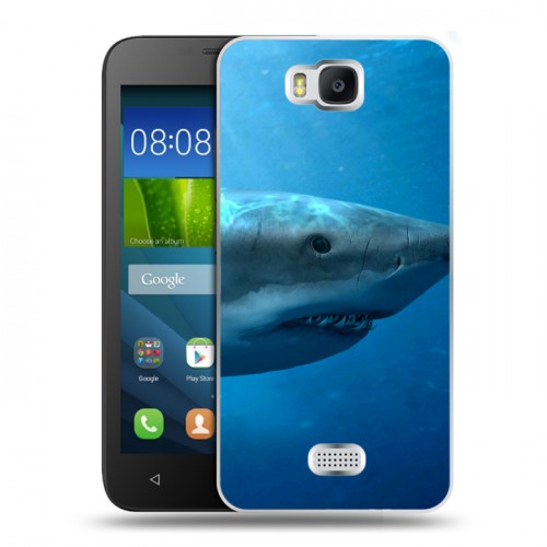 Дизайнерский пластиковый чехол для Huawei Y5c Акулы