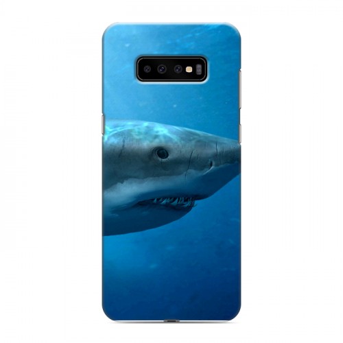 Дизайнерский пластиковый чехол для Samsung Galaxy S10 Plus Акулы