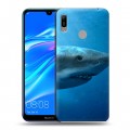 Дизайнерский пластиковый чехол для Huawei Y6 (2019) Акулы