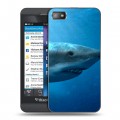 Дизайнерский пластиковый чехол для BlackBerry Z10 Акулы