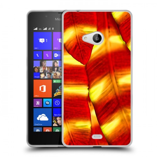 Дизайнерский пластиковый чехол для Microsoft Lumia 540 Контрастные перья