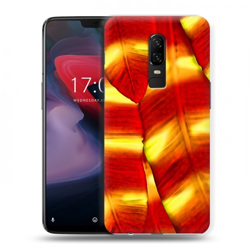 Дизайнерский пластиковый чехол для OnePlus 6 Контрастные перья