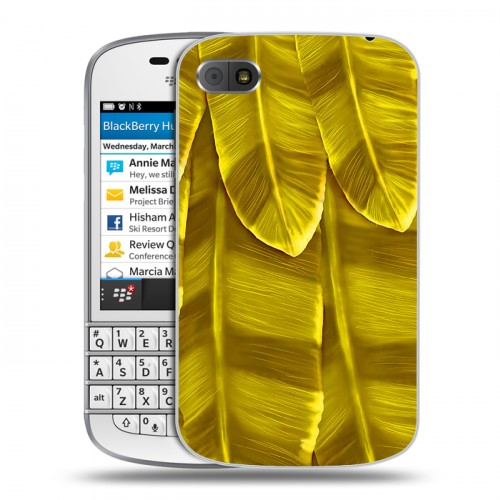 Дизайнерский пластиковый чехол для BlackBerry Q10 Контрастные перья