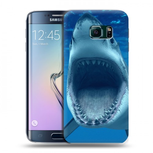 Дизайнерский пластиковый чехол для Samsung Galaxy S6 Edge Акулы