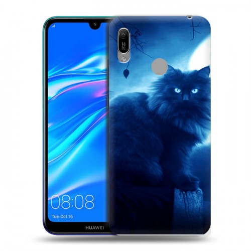 Дизайнерский пластиковый чехол для Huawei Y6 (2019) Луна