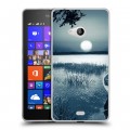 Дизайнерский пластиковый чехол для Microsoft Lumia 540 Луна