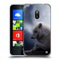 Дизайнерский пластиковый чехол для Nokia Lumia 620 Луна