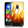 Дизайнерский пластиковый чехол для Nokia Lumia 620 Солнце