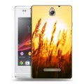 Дизайнерский пластиковый чехол для Sony Xperia E Солнце