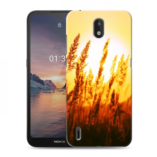 Дизайнерский силиконовый чехол для Nokia 1.3 Солнце