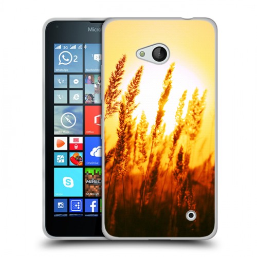 Дизайнерский пластиковый чехол для Microsoft Lumia 640 Солнце