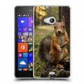 Дизайнерский пластиковый чехол для Microsoft Lumia 540 Грызуны