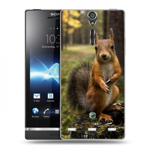 Дизайнерский пластиковый чехол для Sony Xperia S Грызуны