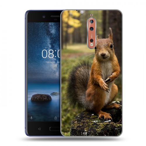 Дизайнерский пластиковый чехол для Nokia 8 Грызуны