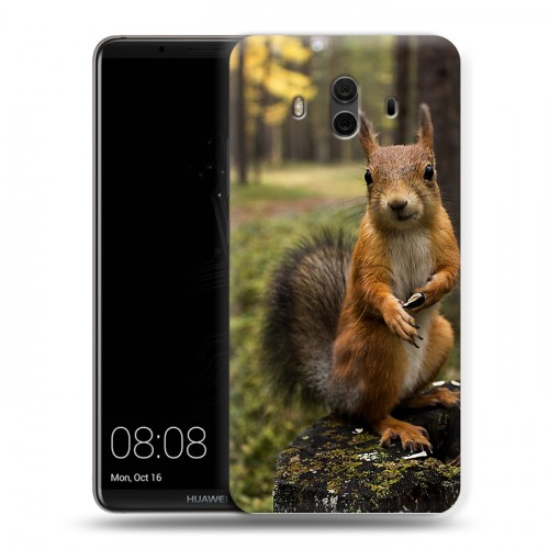 Дизайнерский пластиковый чехол для Huawei Mate 10 Грызуны