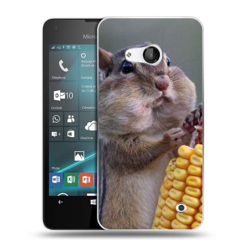 Дизайнерский пластиковый чехол для Microsoft Lumia 550 Грызуны