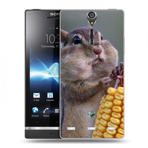 Дизайнерский пластиковый чехол для Sony Xperia S Грызуны