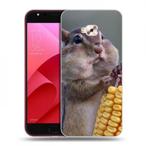 Дизайнерский пластиковый чехол для ASUS ZenFone 4 Selfie Pro Грызуны