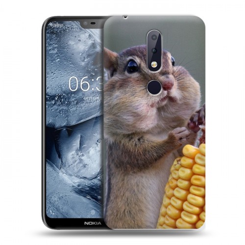 Дизайнерский пластиковый чехол для Nokia 6.1 Plus Грызуны