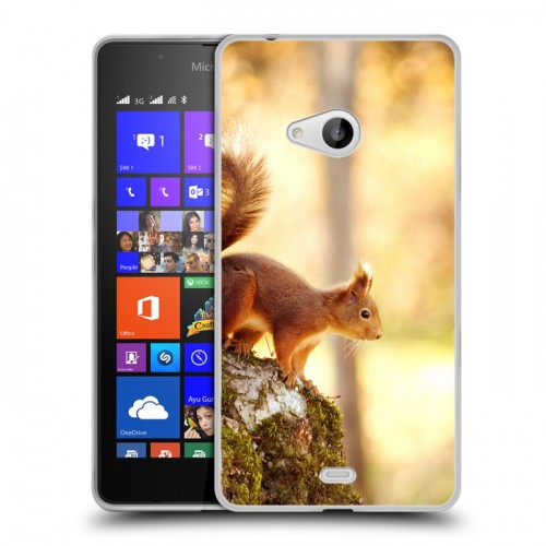 Дизайнерский пластиковый чехол для Microsoft Lumia 540 Грызуны