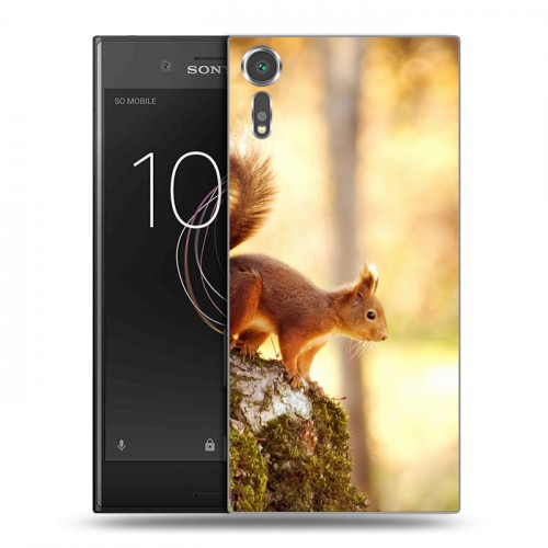 Дизайнерский пластиковый чехол для Sony Xperia XZs Грызуны