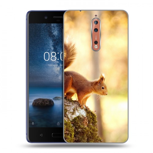 Дизайнерский пластиковый чехол для Nokia 8 Грызуны