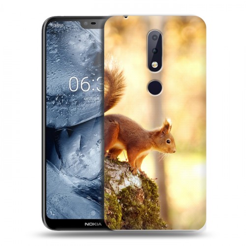 Дизайнерский пластиковый чехол для Nokia 6.1 Plus Грызуны