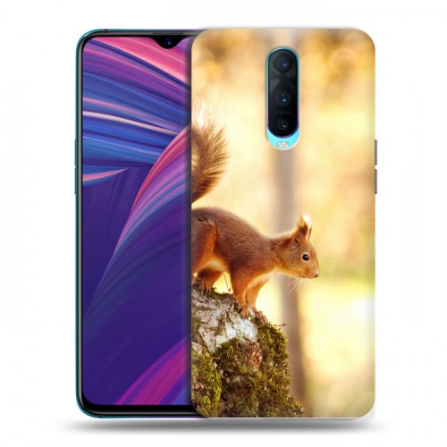 Дизайнерский пластиковый чехол для OPPO RX17 Pro Грызуны