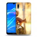 Дизайнерский пластиковый чехол для Huawei Y6 (2019) Грызуны