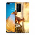 Дизайнерский пластиковый чехол для Huawei P40 Грызуны