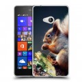 Дизайнерский пластиковый чехол для Microsoft Lumia 540 Грызуны