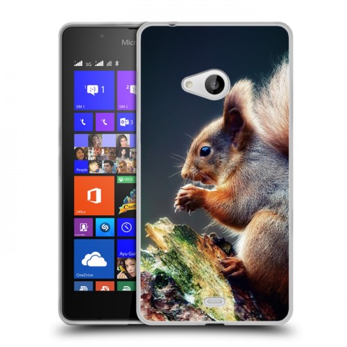 Дизайнерский пластиковый чехол для Microsoft Lumia 540 Грызуны