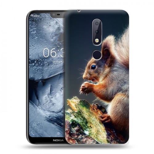 Дизайнерский пластиковый чехол для Nokia 6.1 Plus Грызуны